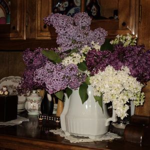 Meet your Posher, Nancy